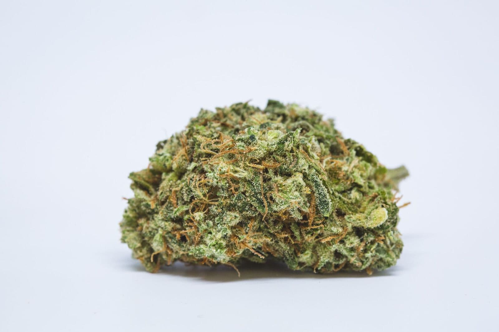 Perfekte Qualität sichern und jetzt Weed Samen kaufen