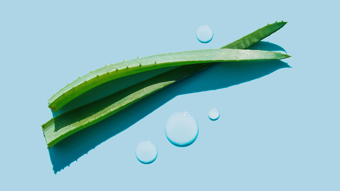 Strahlende Lippen dank Forever Aloe Lips: Natürliche Pflege für jeden Tag