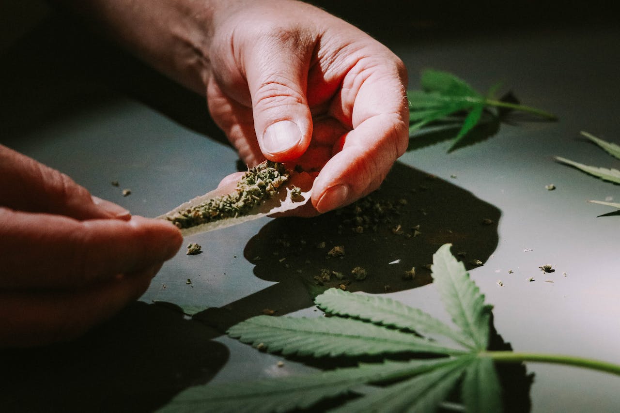 Perfekte Qualität sichern und jetzt Weed Samen kaufen